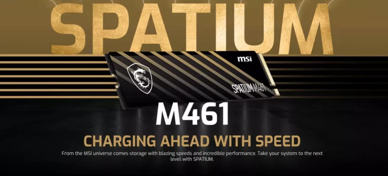 MSI SPATIUM M461 PCIe 4.0 NVMe M.2 1TB