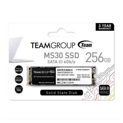 DISQUE DUR TEAM GROUP MS30 SSD M.2 2280 256 GO