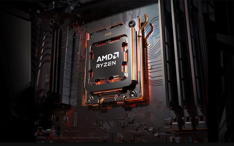 AMD RYZEN 5 8400F (4.2 GHZ / 4.7 GHZ) TRAY